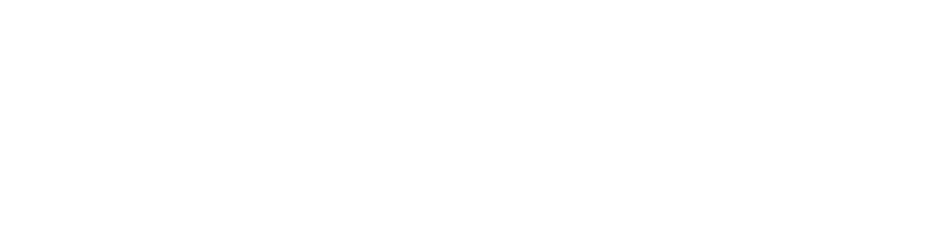 CynaPlus.cl